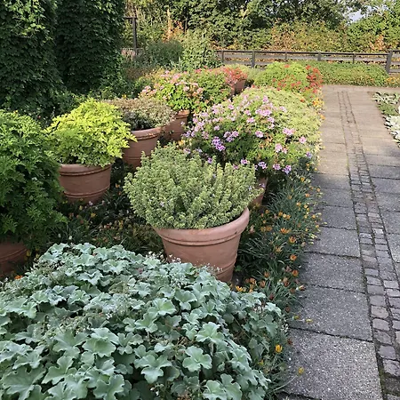 Hotel Vitskol Kloster Ranum
