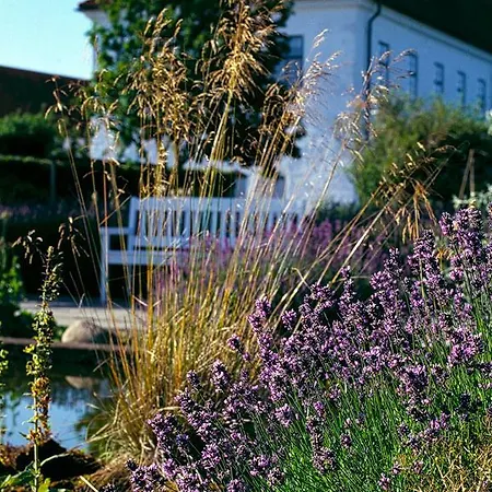 Hotel Danhostel Vitskøl Kloster