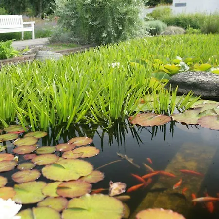 ホテル Danhostel Vitskol Kloster